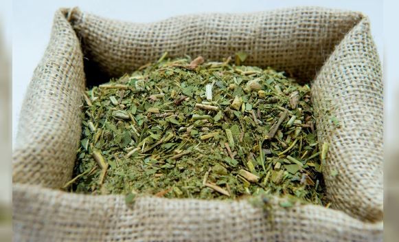 La cosecha de yerba mate cayó más del 30% en el primer trimestre del año | Economía