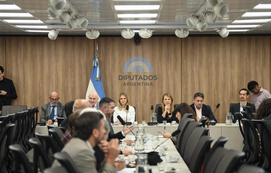 Baja de la edad de imputabilidad: tiene dictamen la modificación al Régimen Penal Juvenil | Política