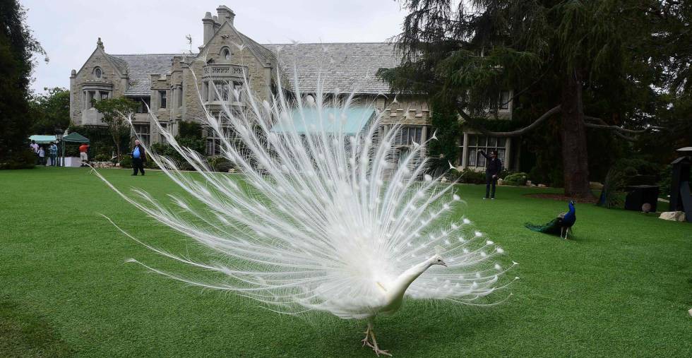 Estas son las cinco casas más caras del mundo que fueron vendidas en 2016 | Curiosidades