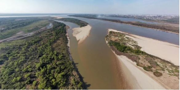 De los 15 problemas globales para la conservación de la biodiversidad, 7 son una amenaza en Argentina | Clima, naturaleza y medio ambiente
