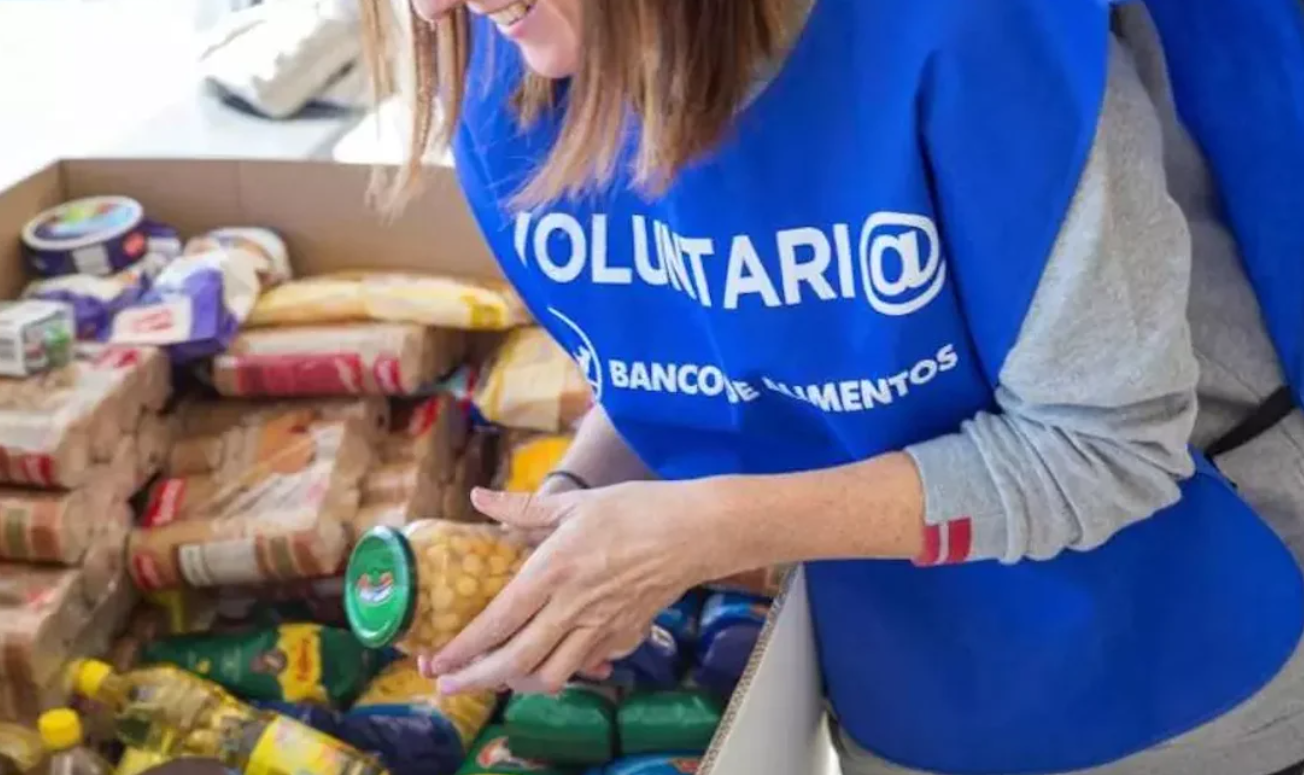 Se desechan más de 16 toneladas de alimentos por año: proponen una ley para frenar el desperdicio de comida | Actualidad