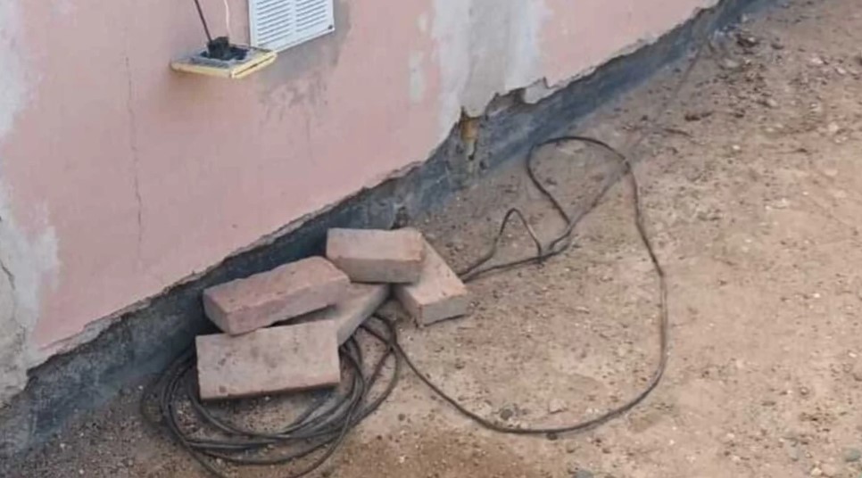 Chubut: investigan a una mujer que habría intentado electrocutar perros con un pan con cables pelados | Actualidad