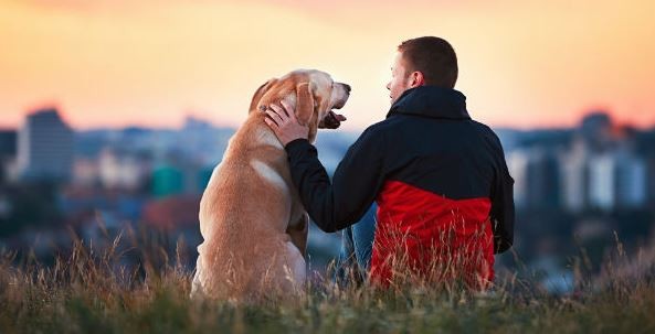 Las empresas dan días libres a sus empleados si se muere su mascota | Actualidad