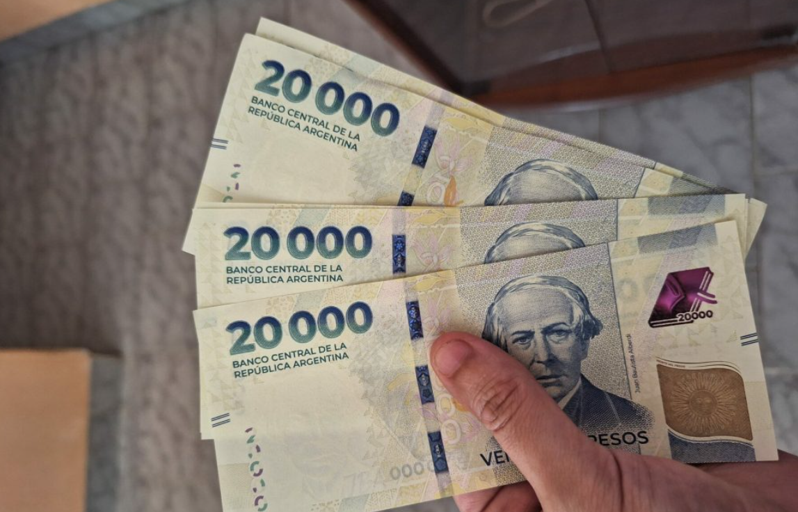 "Argentum": presentaron un proyecto de ley para cambiar la moneda y sacarle varios ceros | Política