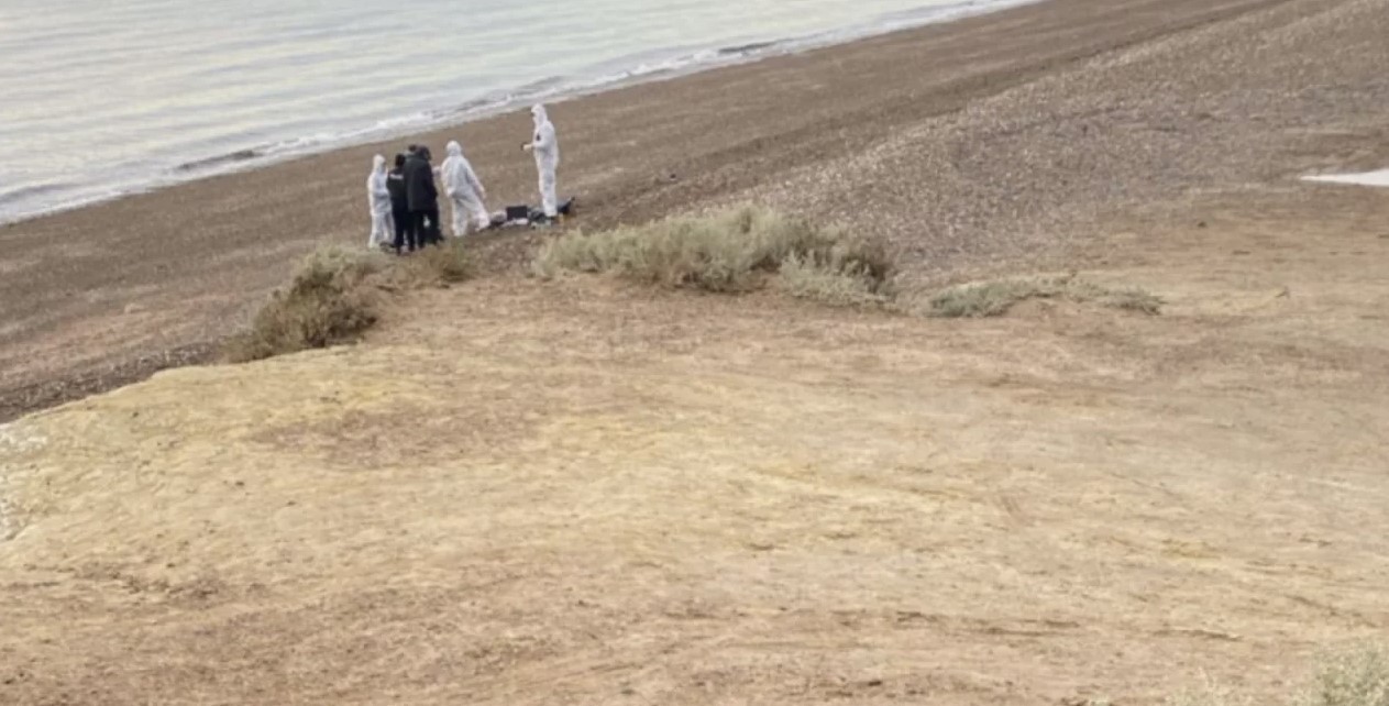 Consternación en Puerto Madryn: encontraron el cuerpo de una mujer en una playa | Actualidad