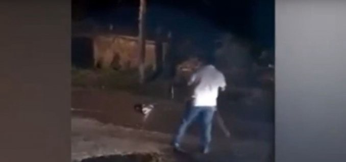 Video terrible: un cocodrilo se come un perro en México | Curiosidades