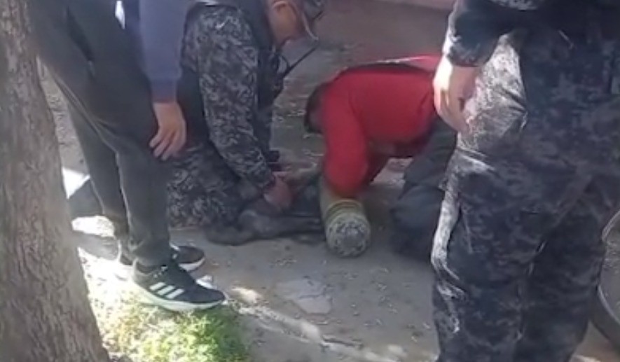 Rescataron a un gato de un incendio y lo reanimaron con maniobras de primeros auxilios | Actualidad