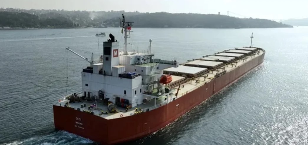 Cocaína en el puerto de San Lorenzo: detuvieron a otro filipino | Actualidad