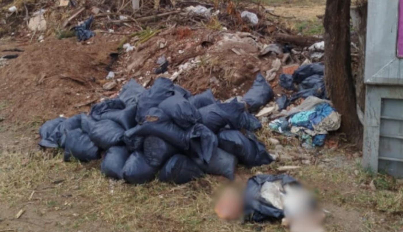 Identificaron a quién pertenecen los restos humanos encontrados en un descampado | Actualidad