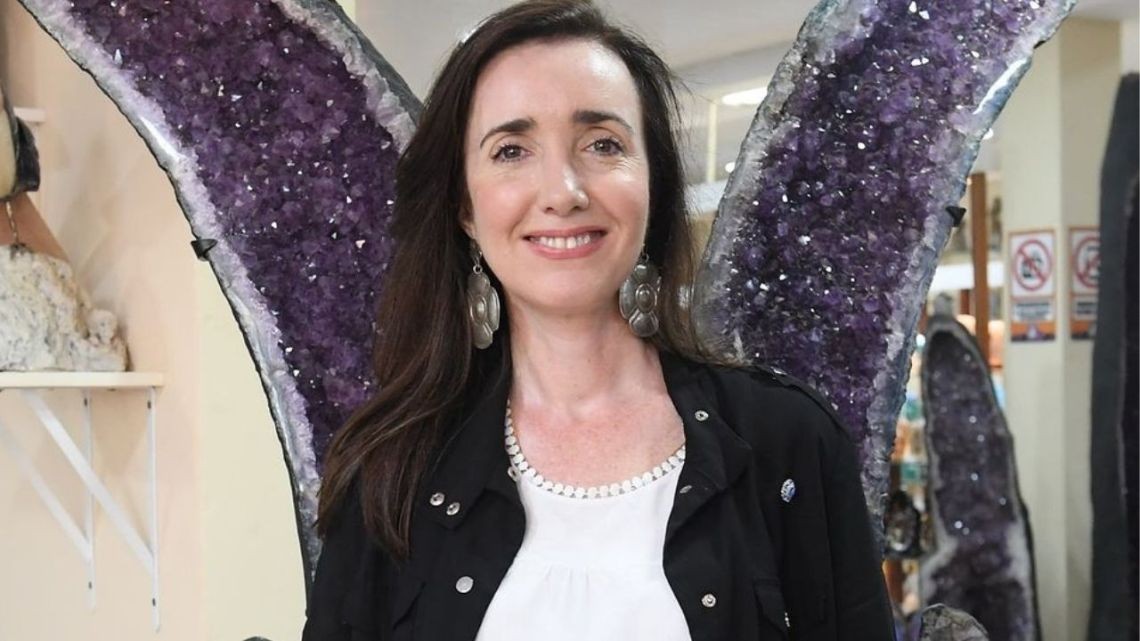 Un libro sobre Victoria Villarruel revela secretos del poder | Política