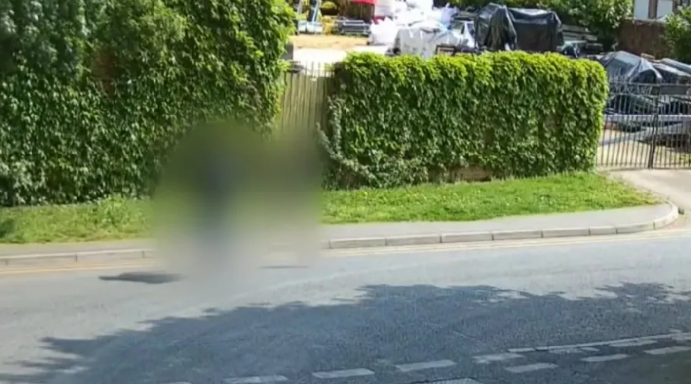 Condenaron a dos adolescentes a un año y nueve meses de cárcel por torturar y matar gatos | Internacionales