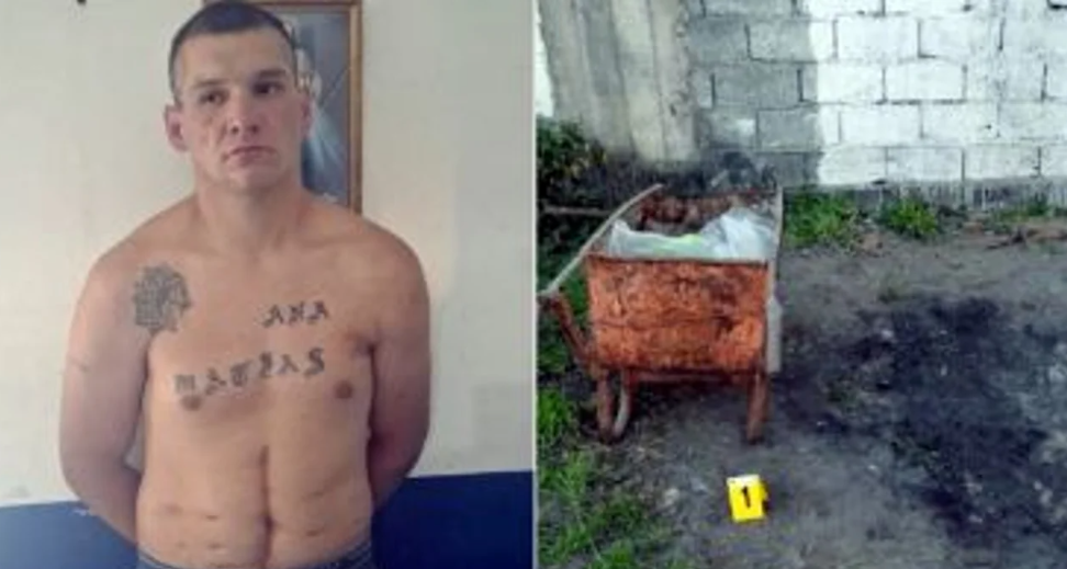 Hallaron más restos óseos en la casa del presunto asesino serial en Jujuy | Actualidad