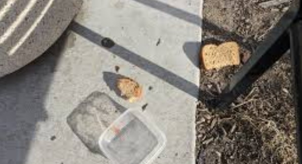 Conmoción en La Plata: iba comiendo un sandwich por la calle, se desvaneció y murió en el acto | Actualidad