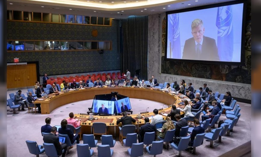 Amnistía Internacional objetó que Argentina se retire del Consejo de Derechos Humanos de la ONU | Política