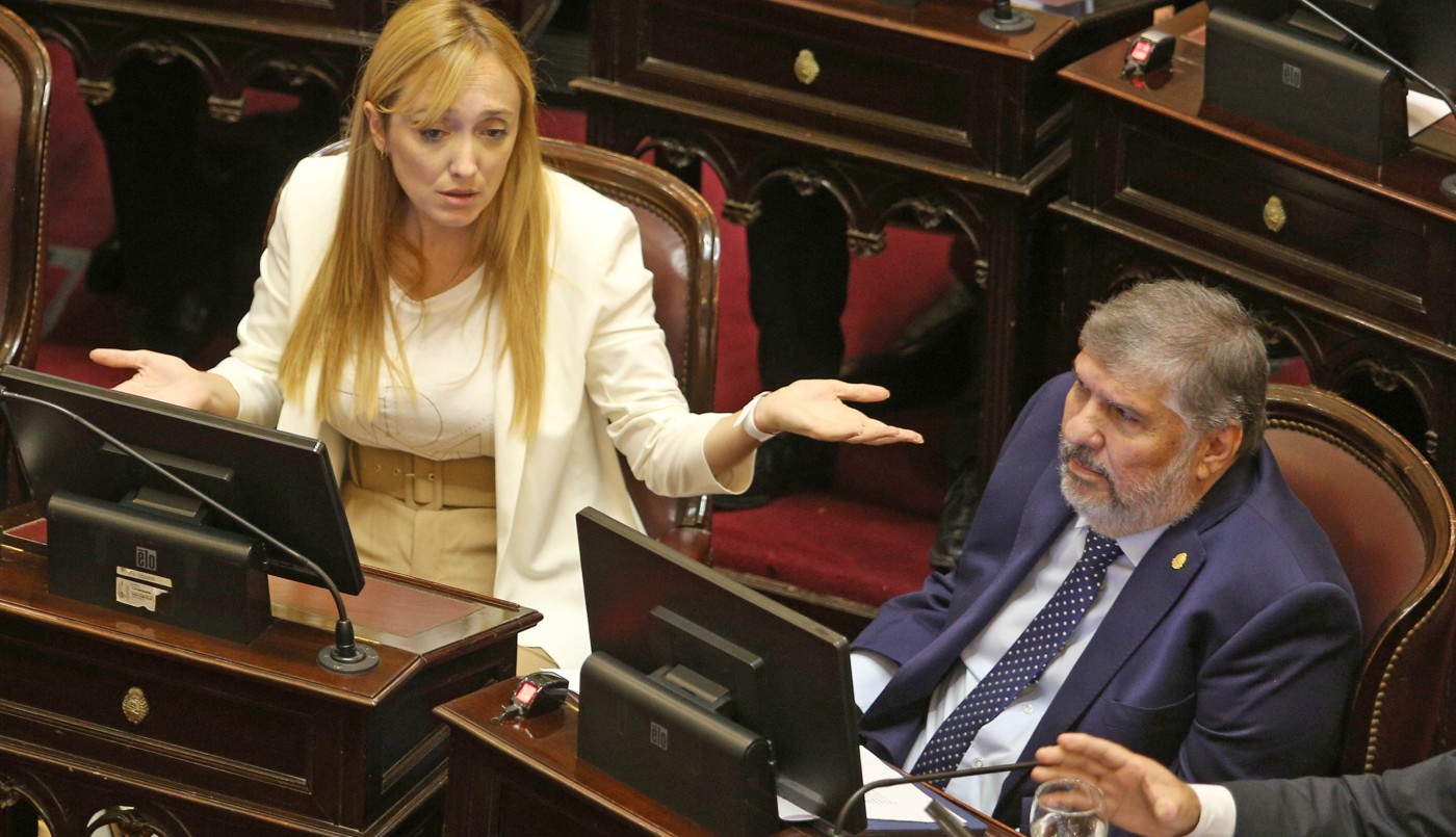 El Senado debatirá el rechazo del veto a Discapacidad y la reforma de los DNU | Política