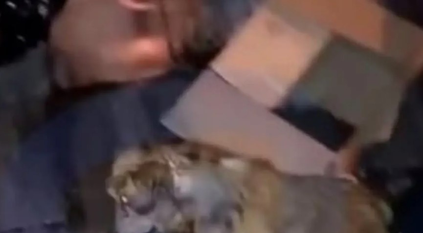 Salta: salvaron a una perrita que estaba a punto de ser triturada por la compactadora de un camión de basura | Actualidad