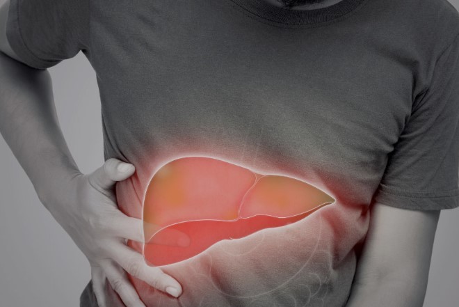 Descubren  una molécula que protege el hígado ante la hepatitis fulminante | Actualidad