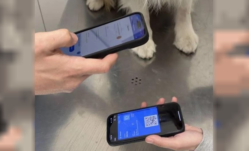 Digitalizan la libreta sanitaria para mascotas en la Argentina | Actualidad