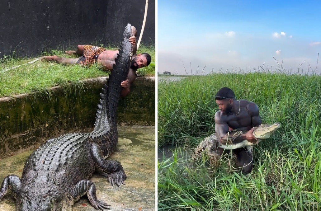 Investigan a un influencer por luchar con cocodrilos | Internacionales