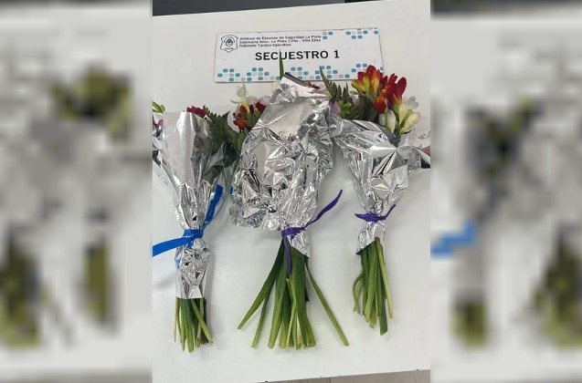 La Plata: robó flores para su enamorada, pasó corriendo frente a la Comisaría y fue detenido | Actualidad