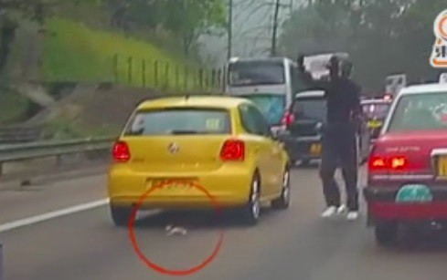 El hombre que paró el tránsito en una autopista de China para salvar a un gato bebé | Curiosidades