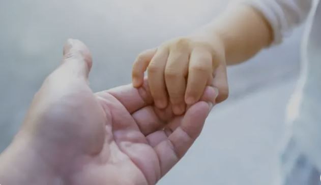 Sube el monto del pago único por adopción | Economía