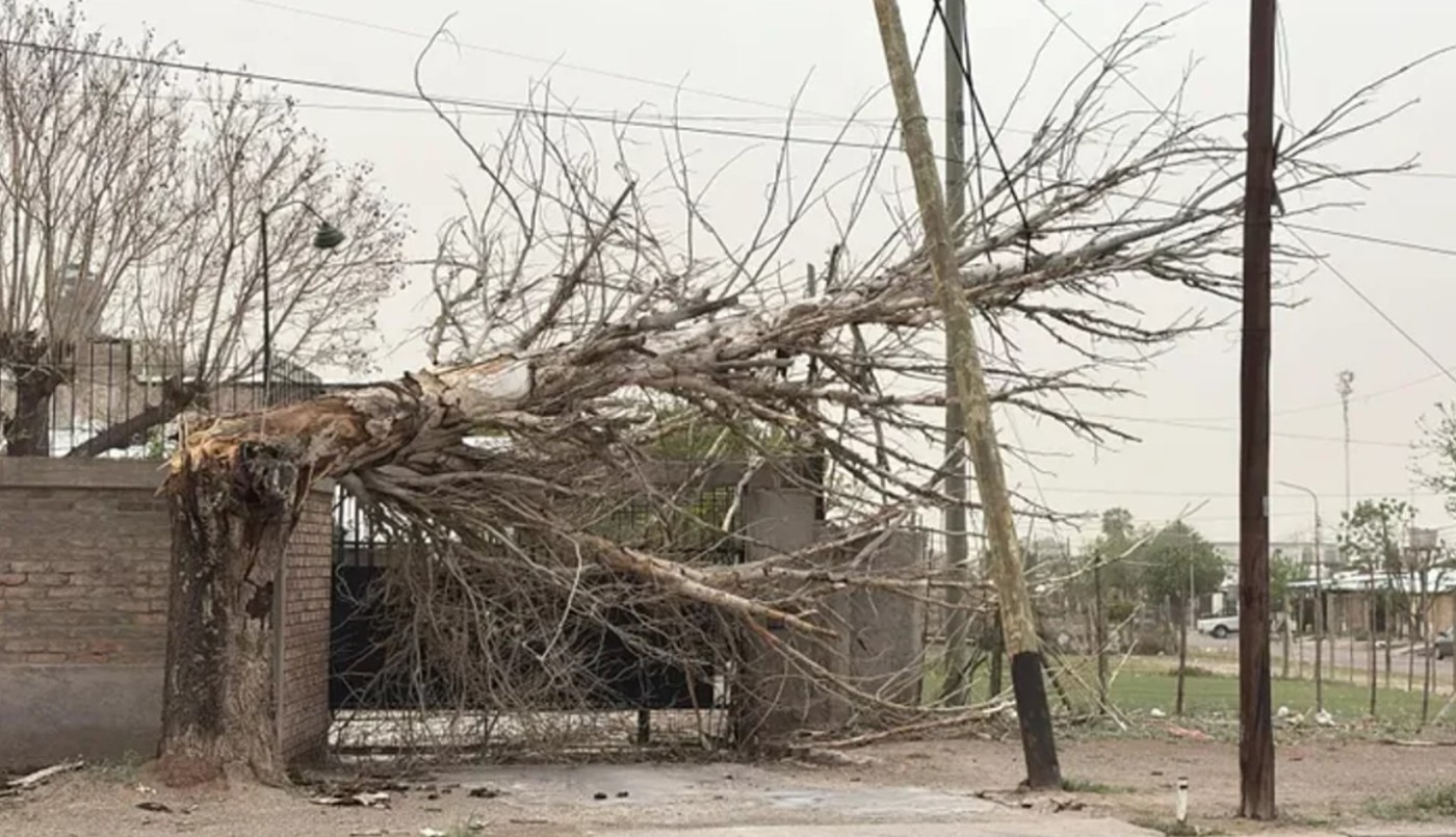Temporal en Mendoza: un muerto, vuelos suspendidos y graves daños por el viento | Actualidad