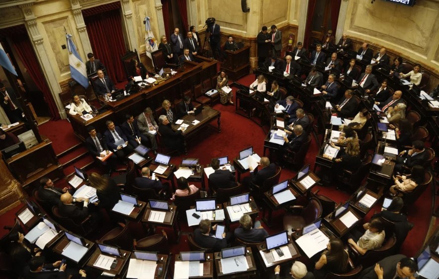 El Senado sesionará este jueves para rechazar los vetos sobre emergencia pediátrica y universidades | Política