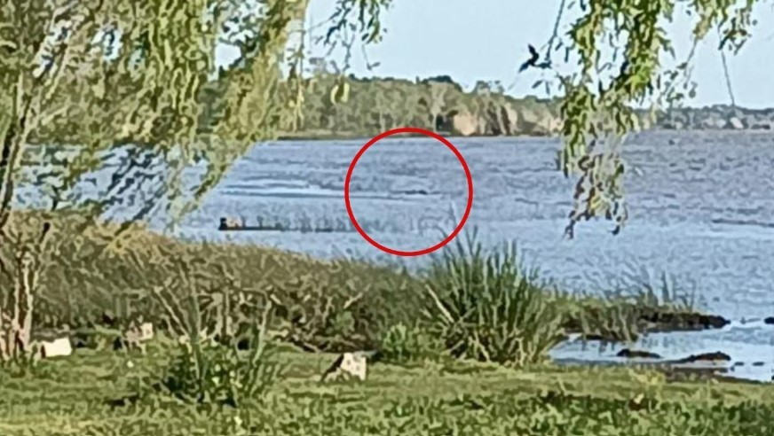 Encontraron muerto a un hombre que ingresó al río en Berisso | Actualidad