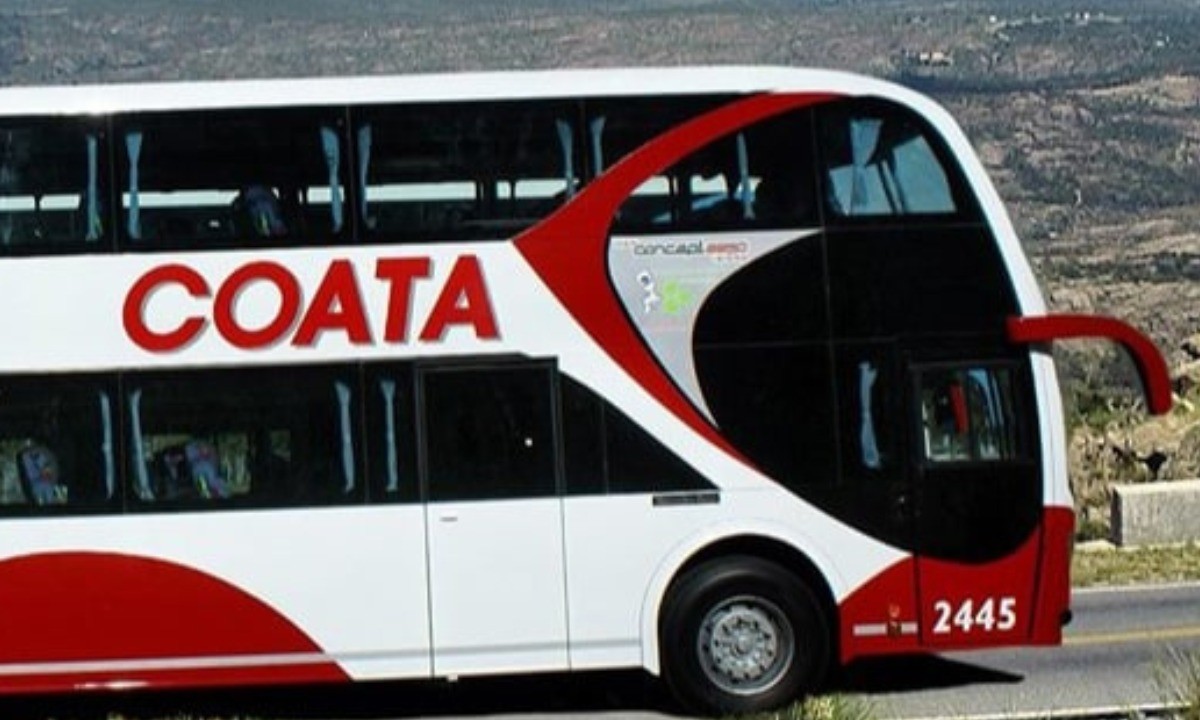 Macabro hallazgo: encuentran feto en baño de colectivo de larga distancia | Actualidad