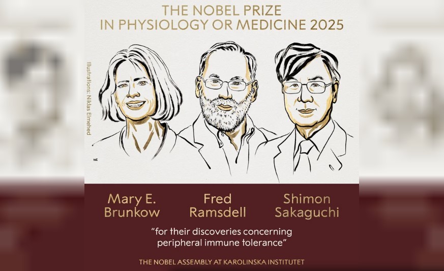 El premio Nobel de Medicina 2025 fue otorgado a Mary E. Brunkow, Fred Ramsdell y Shimon Sakaguchi | Internacionales