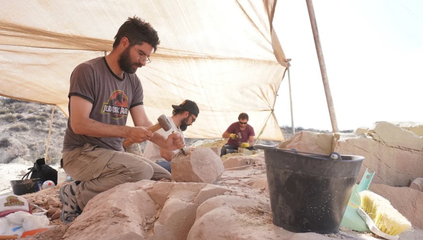 Tras la expedición en el fondo del mar, el CONICET buscará dinosaurios "en vivo" en la Patagonia | Actualidad