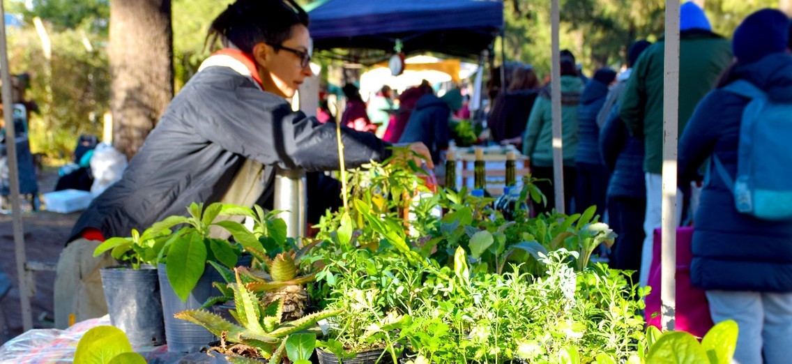 La Feria de Agronomía festeja su 12° aniversario con actividades gratuitas para toda la familia | Actualidad