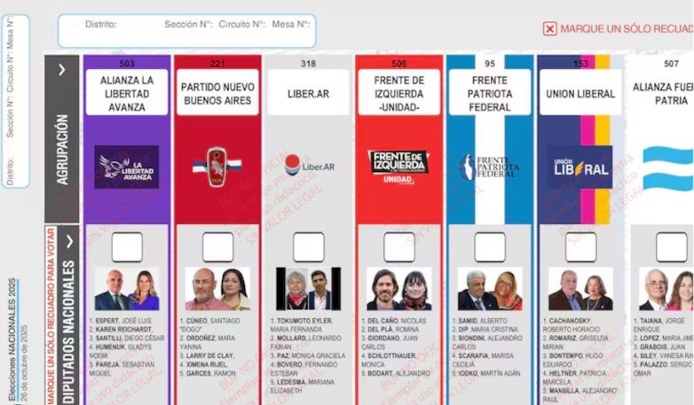 El Gobierno apeló el fallo por la reimpresión de boletas en PBA | Política