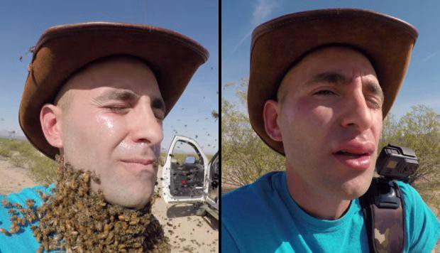 Viral escalofriante: así le quedó la cara tras colocarse tres mil abejas | Curiosidades