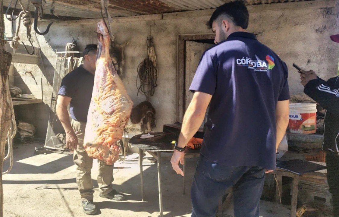 Desarticulan una faena clandestina que ofrecía carne por redes sociales | Actualidad