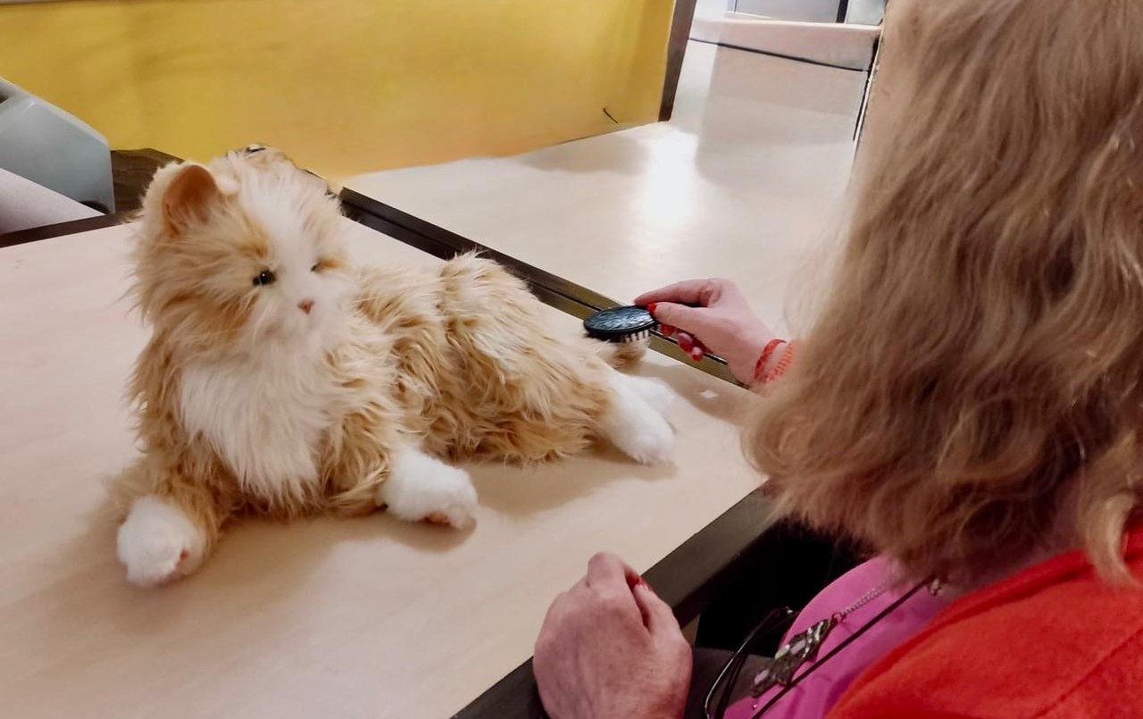 Aseguran que las mascotas robot ayudan a reducir las emociones negativas en personas con Alzheimer | Actualidad