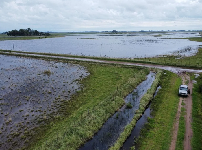 El Gobierno declaró y prorrogó la emergencia agropecuaria en zonas de Entre Ríos, Buenos Aires y Río Negro | Clima, naturaleza y medio ambiente