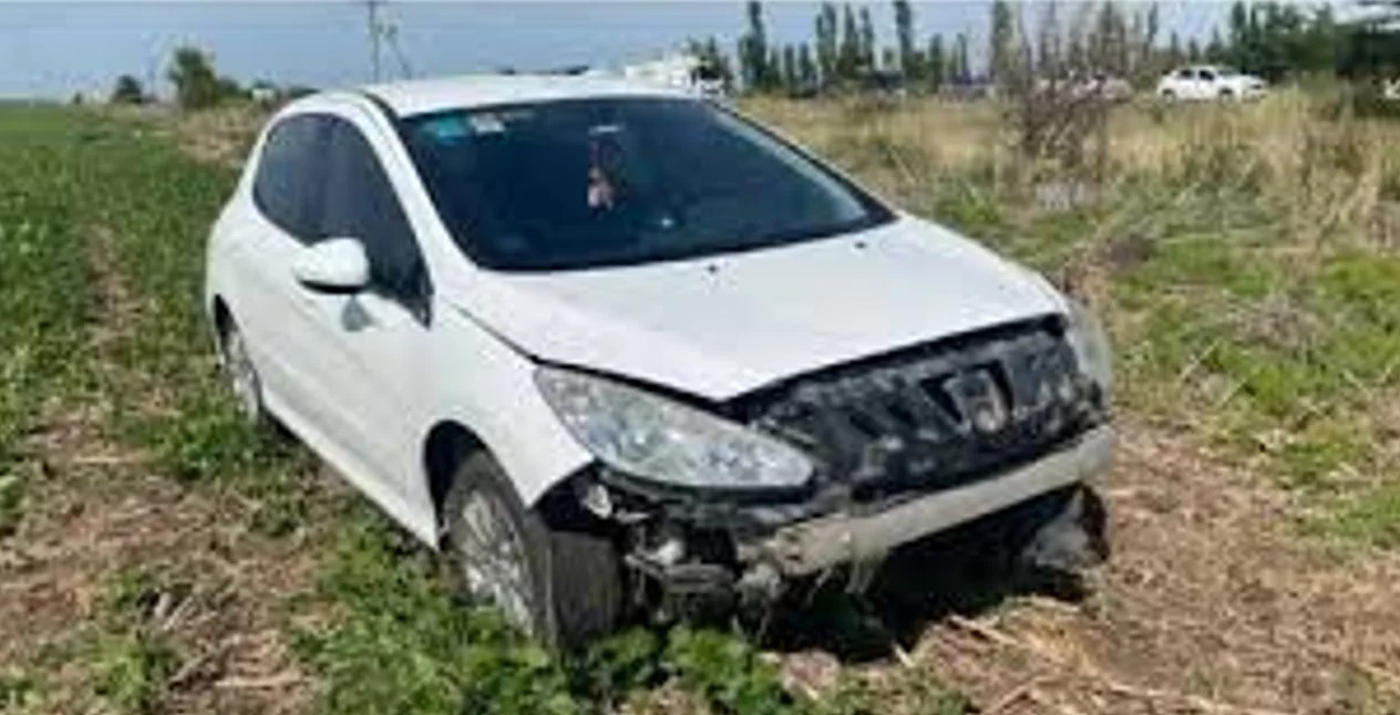 Un carpincho casi provoca una tragedia en Vivoratá | Actualidad