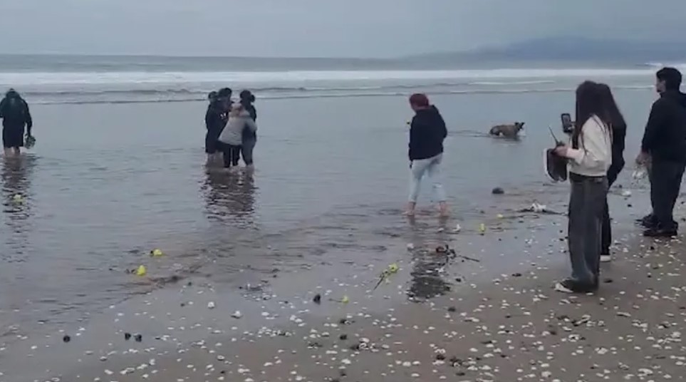 Concluyó la búsqueda del joven argentino desaparecido en el mar de Chile: la familia realizó una emotiva despedida | Actualidad