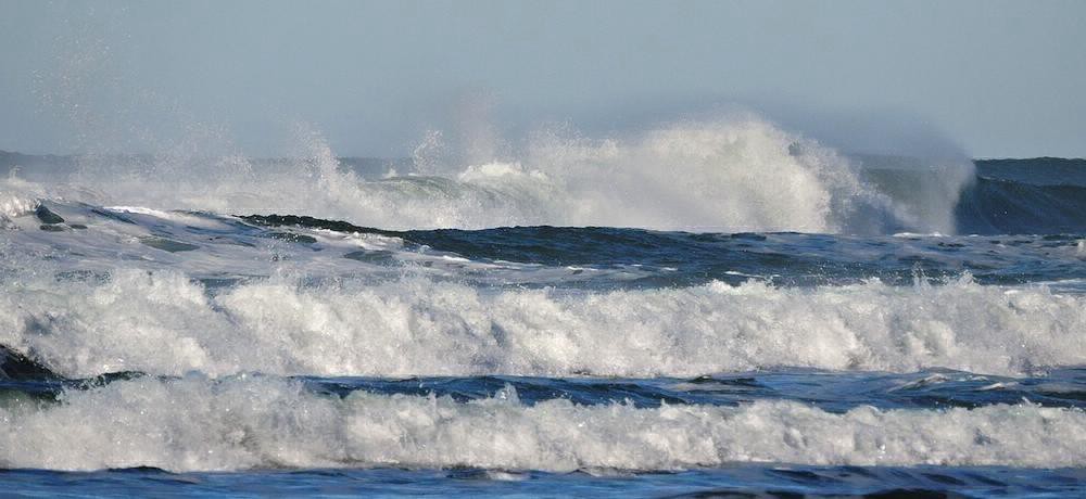 El deporte que te hace ingerir las bacterias más resistentes a los antibióticos | Deportes