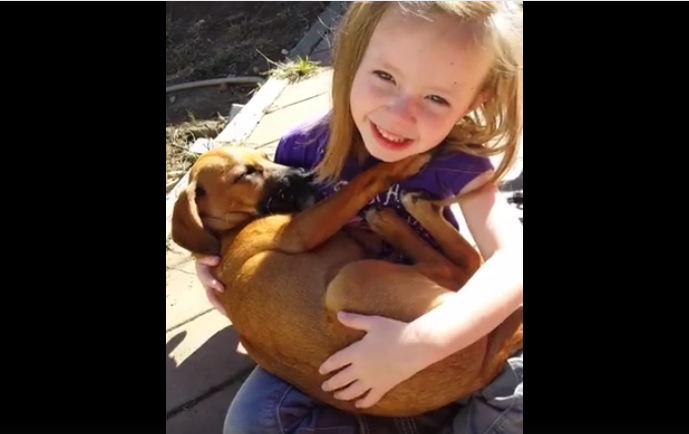 El tierno video viral de una nena con su perro adoptado | Curiosidades