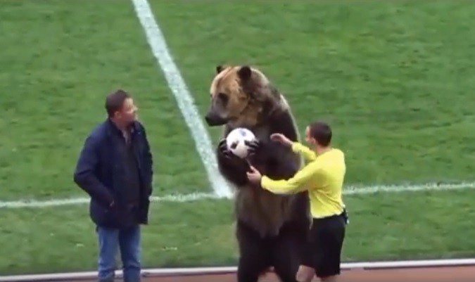 Video: oso "futbolista" genera enojo en las redes sociales | Deportes