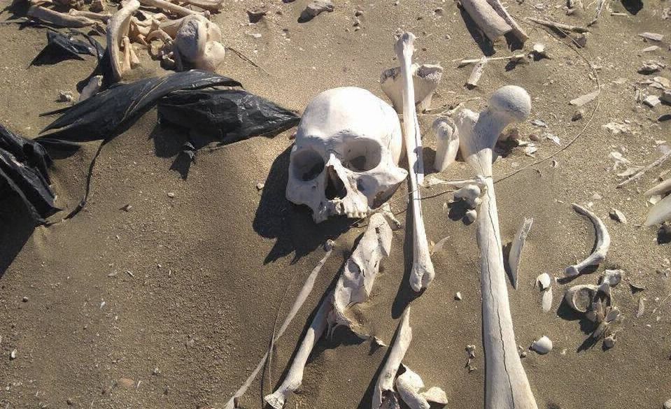 Sorpresa en Chubut: una pareja de turistas encontró veinte esqueletos humanos en la playa | Curiosidades
