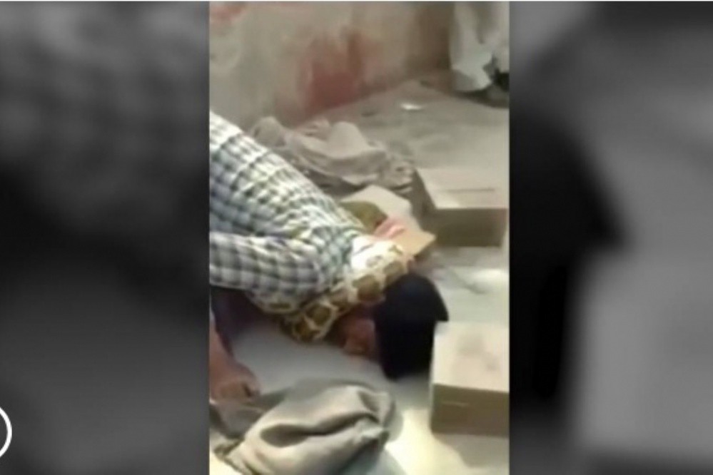 Un encantador de serpientes casi muere estrangulado por una pitón y el público no reacciona | Curiosidades