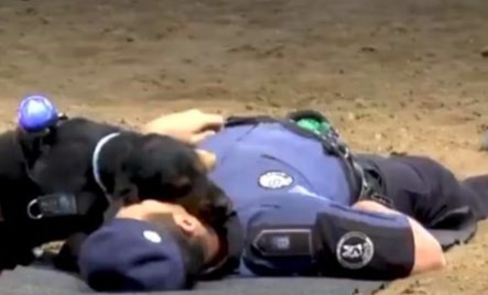 El increíble perro que le hace RCP a un agente de la policía de Madrid | Curiosidades