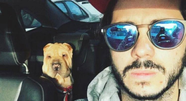 La tristeza de Nicolás Magaldi, porque "le mataron a su perro" | Espectáculos