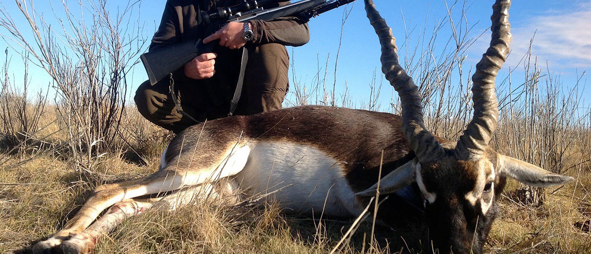 Condenaron a prisión a una estrella de cine por caza furtiva | Espectáculos
