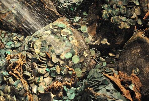 Recuperan un tesoro de US$ 50 millones en un barco hundido a más de 5000 metros de profundidad | Internacionales