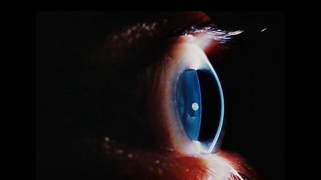 Un paseo por el interior humano en 10 fotos impactantes | Internacionales